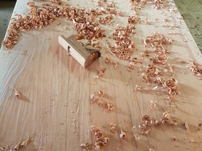 Werkstück mit Hobelspänen Sägespäne