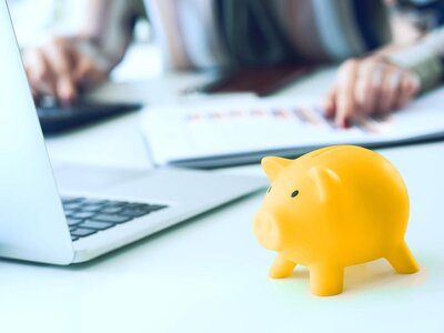 1144399066 Sparschwein